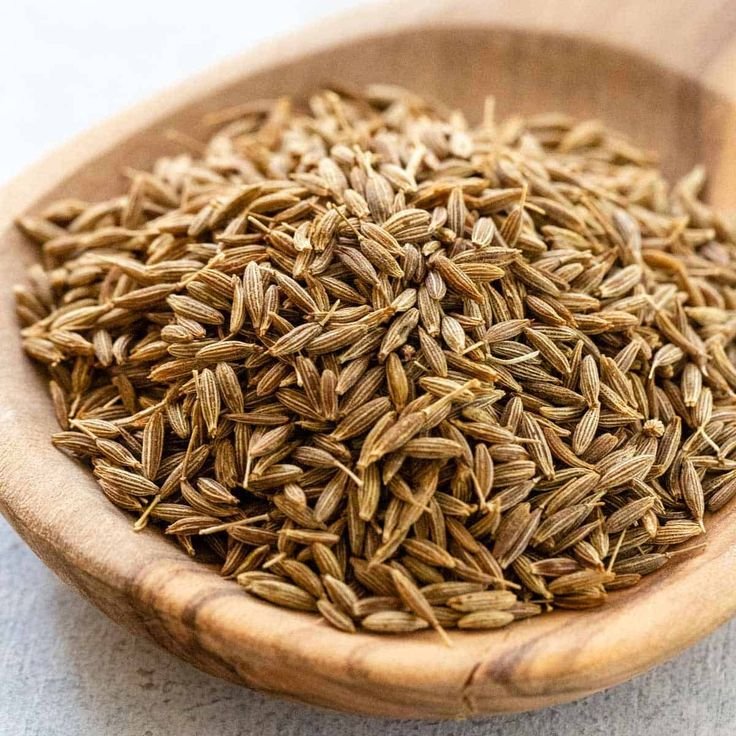 Indian Cumin Seeds Exporter