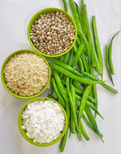 Indian Guar Gum Powder Exporter